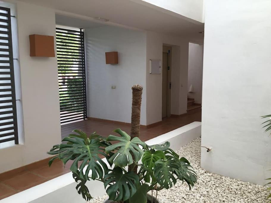 Alcazaba Blue Lagoon 3 Bedroom, Ground Floor Apartment Естепона Екстериор снимка